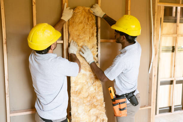 Trusted Springdale, SC Insulation Services Experts